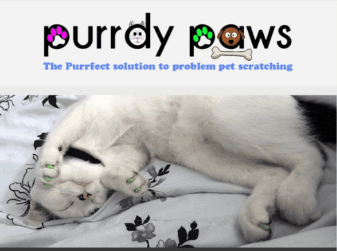 Purrdy Paws