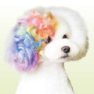 Pet coloring Germantown TN