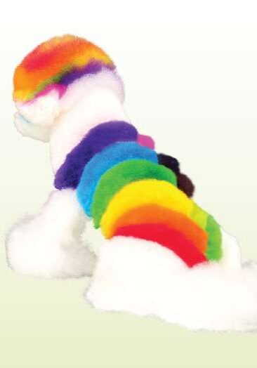 Pet hair chalk Germantown TN