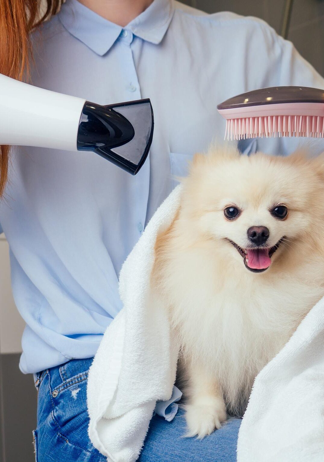 Dog Grooming Services in Germantown, TN